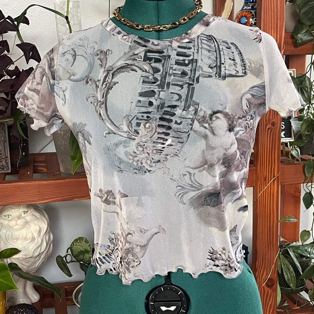 Cherub mesh crop top